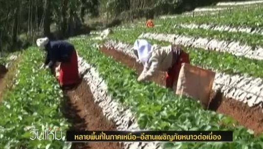 หลายพื้นที่ภาคเหนือ-อีสาน เผชิญภัยหนาวต่อเนื่อง