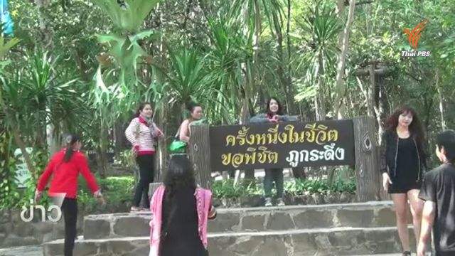 นักท่องเที่ยวไม่เห็นด้วยแนวคิดสร้างกระเช้าขึ้นภูกระดึง หวั่นกระทบสิ่งแวดล้อม-สัตว์ป่า