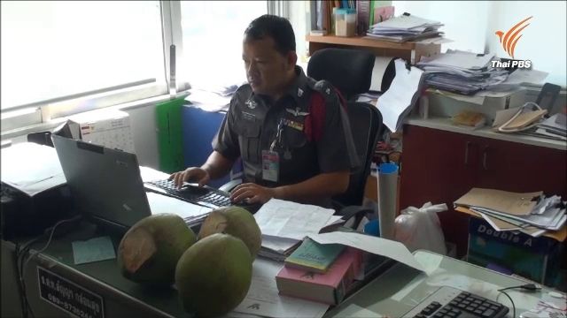 “ป้า” เจ้าของสวนทุ่งสงโอด ถูกขโมยผลไม้ในสวนมามากแล้ว ติดกล้องจับ-เจอลักมะพร้าว