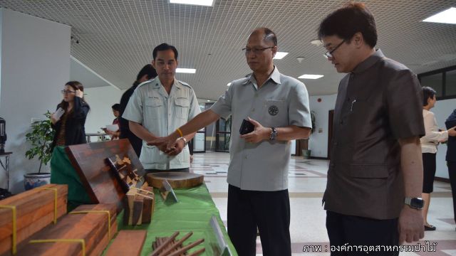 โฆษก ทส.ระบุ ใช้เทคนิค “ฟิงเกอร์ จอยท์” อัดประสานขึ้นรูปไม้พะยูงของกลางขนาดเล็กที่เสื่อมสภาพ