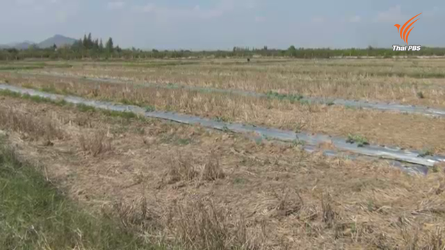 ขยายวงเงินช่วยผู้ประสบภัยเเล้งเพิ่มเป็นจังหวัดละ 50 ล้าน 