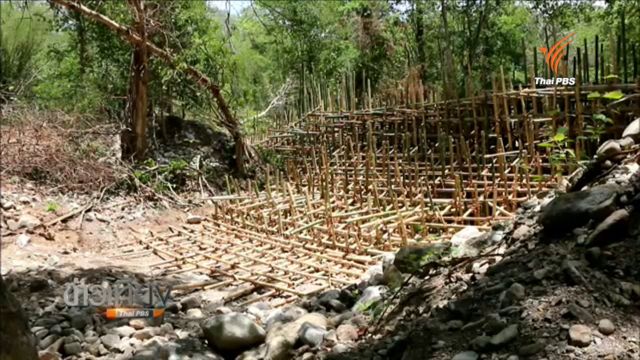 นักอนุรักษ์ค้านสร้างฝายบนพื้นที่ต้นน้ำอุทยานแห่งชาติดอยสุเทพฯ ชี้กระทบระบบนิเวศ 