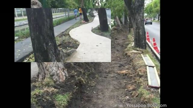 สถาปนิกชี้ทางจักรยานรอบสวนจิตรลดาผิดหลักภูมิสถาปัตยกรรม อาจทำต้นไม้ตาย-ระบายน้ำลด