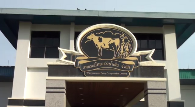 สหกรณ์โคนมวังน้ำเย็นพร้อมอุทธรณ์หากถูกตัดสิทธิ์โควต้านม