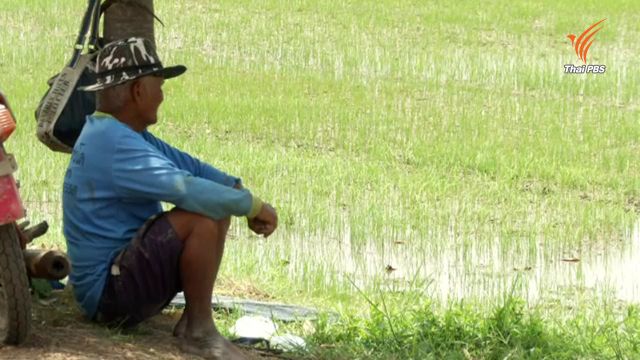 กรมชลฯ เผยน้ำในเขื่อนเหลือใช้แค่ 70 วัน ย้ำไม่มีแผนส่งน้ำทำนาปี     