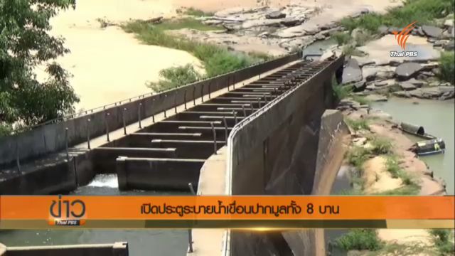 กฟผ.เปิดประตูระบายน้ำเขื่อนปากมูลทั้ง 8 บาน