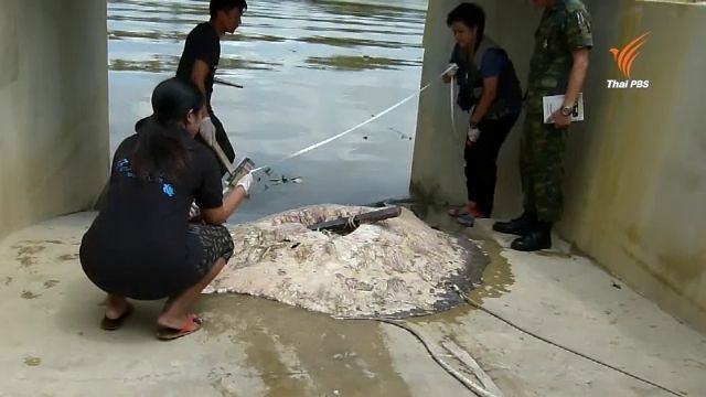 เตรียมเสนอแก้มลพิษน้ำแม่กลองเป็นวาระแห่งชาติ