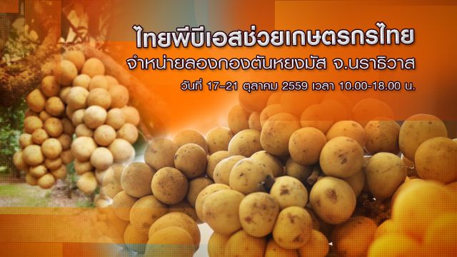 "ไทยพีบีเอส" ช่วยเกษตรกรนราธิวาสจำหน่ายลองกองตันหยงมัส 