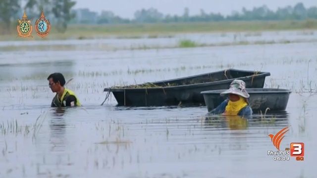 ครม.อนุมัติงบเยียวยาน้ำท่วม 2,200 ล้านบาท