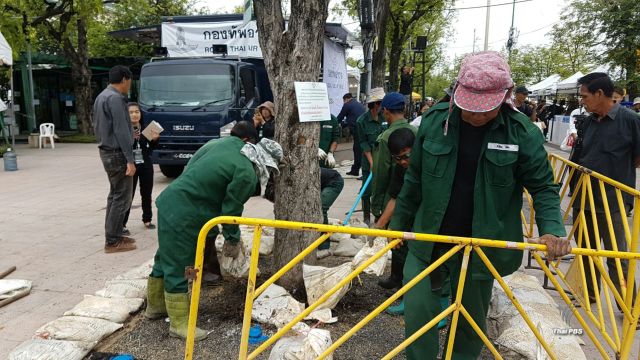 ศูนย์ Volunteers for dad พร้อมช่วย กทม. แก้ปัญหาต้นมะขามสนามหลวง 