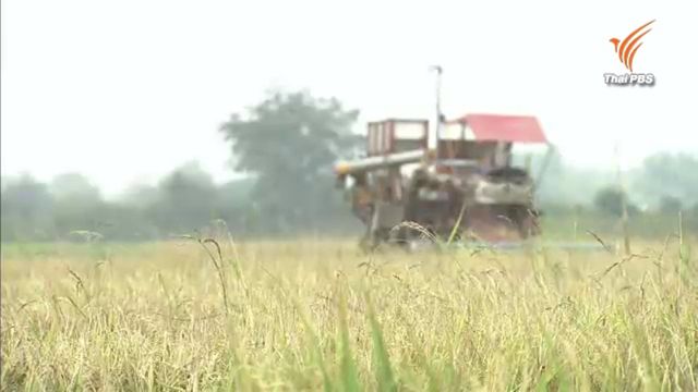 ภัยแล้งทำจีดีพีภาคเกษตรปี 59 ไตรมาส 2 หดตัวร้อยละ 1.3-ข้าวกระทบหนักสุด 