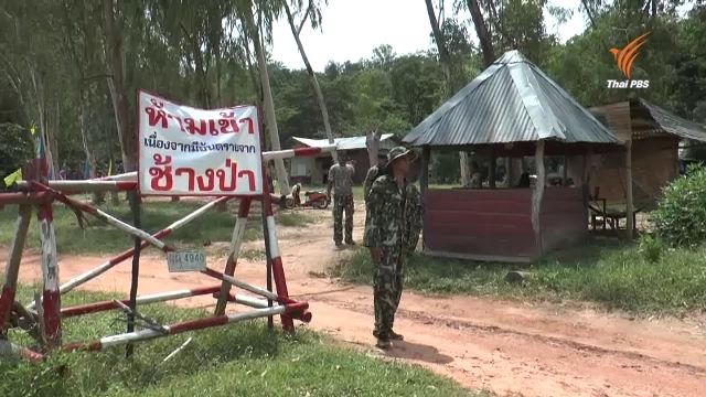  ติดป้ายเตือนชาวบ้านระวังช้าง หลังถูกทำร้ายตาย 3 คน 