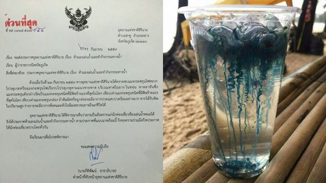 สั่งห้ามลงเล่นน้ำ 3 หาด ในภูเก็ต หลังพบ "แมงกะพรุนไฟหมวกโปรตุเกส" พิษร้ายแรงถึงขั้นตาย