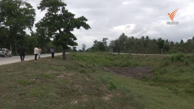 ตัดต้นไม้เกาะกลาง แก้อุบัติเหตุถนนนราธิวาส-ตากใบ