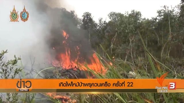 ไฟไหม้ป่าพรุควนเคร็ง จ.นครศรีฯ รอบที่ 22 ประสานหน่วยบินฝนหลวงช่วยดับไฟ