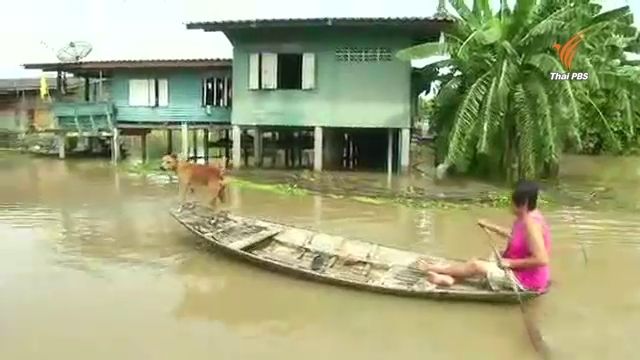 ชาวกรุงเก่าเตรียมรับมือน้ำเจ้าพระยาสูงขึ้น