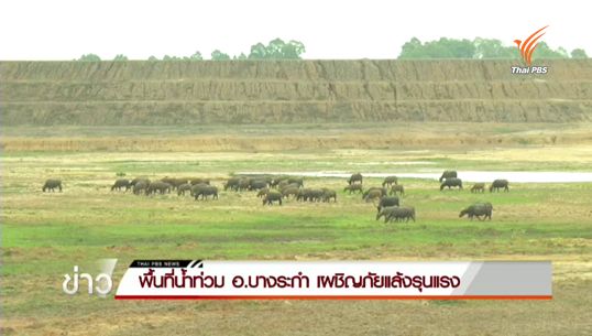 พื้นที่รับน้ำ บางระกำ จ.พิษณุโลก แล้งหนัก 