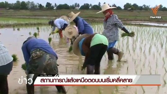 ภัยแล้งน่าน-สระแก้วเริ่มคลี่คลาย ชาวนาเร่งปักดำข้าวเพาะปลูกพืชทันทีหลังมีน้ำเพียงพอ