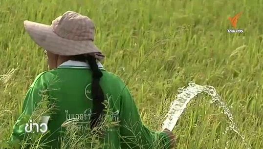 ชาวนาพระนครศรีอยุธยา ลงทุนซื้อน้ำไม่ให้ข้าวยืนต้นตาย