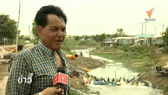 ชาวนาอยุธยาวอนรัฐบาลทบทวนส่งน้ำรักษาข้าวใกล้เก็บเกี่ยว บางส่วนเริ่มมีปัญหาข้าวลีบจำใจเกี่ยวทิ้ง