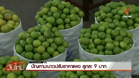 ก.พาณิชย์เร่งแก้ปัญหามะนาวแพง-หลังราคาพุ่งอยู่ที่ลูกละ 9 บ.