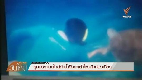 “ธรณ์” จี้สร้างจิตสำนึกการท่องเที่ยว หลังมีคลิปทำร้ายเต่า