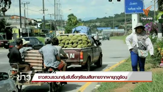 ชาวสวน จ.จันทบุรี รวมกลุ่มรับซื้อทุเรียนเสียหายจากพายุฤดูร้อน