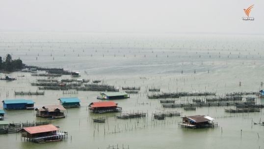 ผู้ว่าฯสงขลาขีดเส้นถึงสิ้นเดือน-รื้อโพงพาง ชาวประมงโอดสูญรายได้หลักของครอบครัว