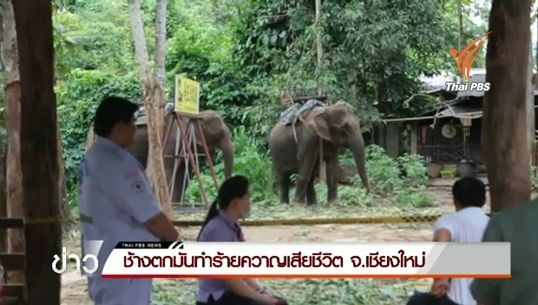 ช้างตกมันทำร้ายควาญช้างเสียชีวิต 1 คน ใน จ.เชียงใหม่ 