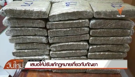เสนอแก้กฎหมาย"กัญชา"หลังพบนำมาใช้ผลิตยา-มีโทษน้อยกว่าบุหรี่