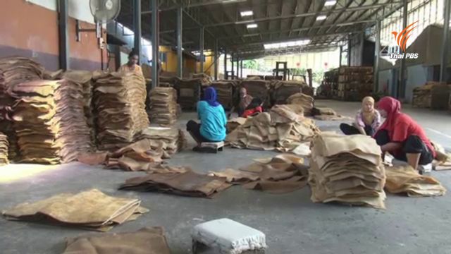 กยท.นัดถกปัญหาเงินรับซื้อยางพารา 4,500 ล้านบาท
