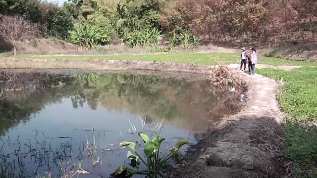 ชาวบ้านเรียกร้องปิดเหมืองแร่ จ.เลย ฟื้นฟูสภาพแวดล้อม หลังพบสารพิษในร่างกาย 46 คน