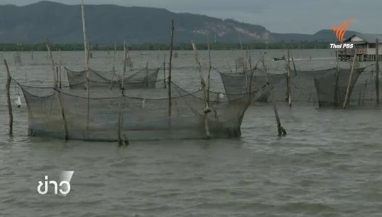 ชาวประมงในอ.สิงหนคร จ.สงขลา ยืนยันจะไม่รื้อถอนโพงพาง 