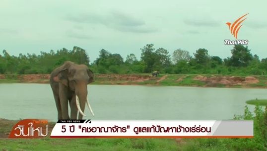 5 ปี "คชอาณาจักร" แก้ปัญหาช้างเร่ร่อน 
