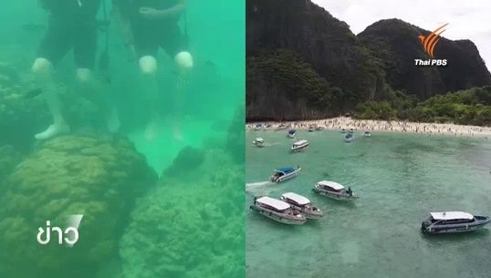 หัวหน้าอุทยานฯ หมู่เกาะพีพี สั่งห้ามดำน้ำไทร์ไดฟว์-เรือนำเที่ยวขนาดใหญ่ 5 ลำ เข้าเขตอ่าวต้นไทรอีก