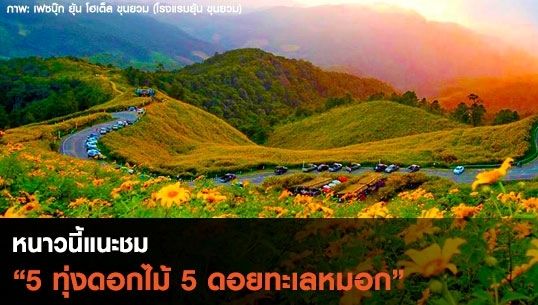 หนาวนี้แนะชม 5 ทุ่งดอกไม้ 5 ดอยทะเลหมอก 