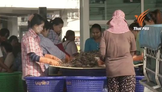 ส.ส.-นักสิทธิมนุษยชนสหรัฐฯร้องคว่ำบาตรกุ้ง-ปลาไทย เหตุโยงใช้แรงงานทาส