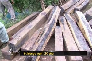 ยึดไม้พะยูง มูลค่า 20 ล้าน เตรียมส่งขายต่างประเทศ