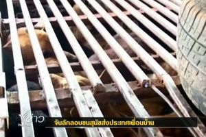 ตร.สกลนครจับเพิ่มอีก 1 รายขบวนการค้าสุนัขข้ามชาติ 