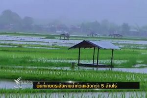 พื้นที่เกษตรเสียหายน้ำท่วมแล้วกว่า 5 ล้านไร่