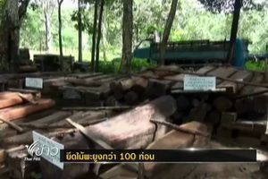 รอง ผบ.ตร.ลงพื้นที่ตรวจอายัดไม้พะยูงกว่า 7 พันท่อน 