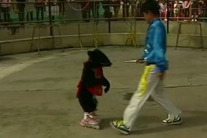 นักท่องเที่ยวทึ่ง "ลูกหมี" เล่นสเก็ตในสวนสัตว์จีน