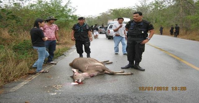 กมธ.สิ่งแวดล้อม เห็นด้วยกรมอุทยานฯ กำหนดเวลาปิดเปิดถนนผ่านเขาอ่างฤาไน 