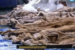 ตร.คาด "อ๊อด บางกรวย" เชื่อมโยงขบวนการค้าสัตว์ป่าระดับเอเชีย