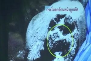 ตำรวจเร่งสอบสวนผู้ต้องหาคดีฆ่าช้างป่าแก่งกระจาน