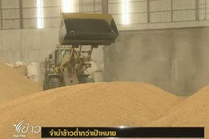 น้ำท่วม ส่งผลให้การจำนำข้าวต่ำกว่าเป้าหมาย