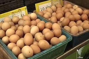 แม่ค้าไข่ไก่โวยขายไข่ไก่ตามราคาแนะนำไม่ได้