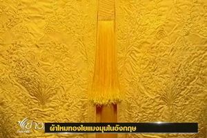 เปิดตัว "เสื้อคลุมผ้าไหม" จากใยแมงมุมมาดากัสการ์ 1 ล้านตัว 