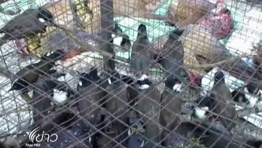 เจ้าหน้าที่ด่านตรวจพืชหนองคายตรวจยึดสัตว์ป่า
