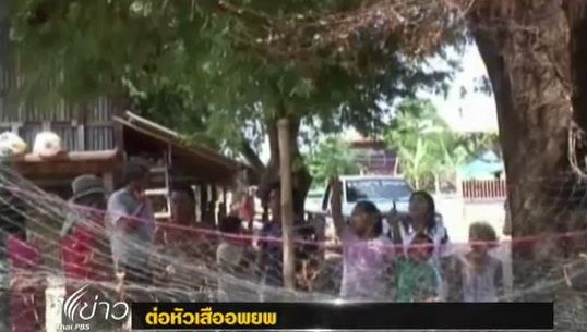 ต่อหัวเสืออพยพมาทำรังในหมู่บ้านที่ อ.ห้วยเม็ก จ.กาฬสินธุ์ 